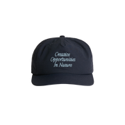 C.O.I.N. Hat